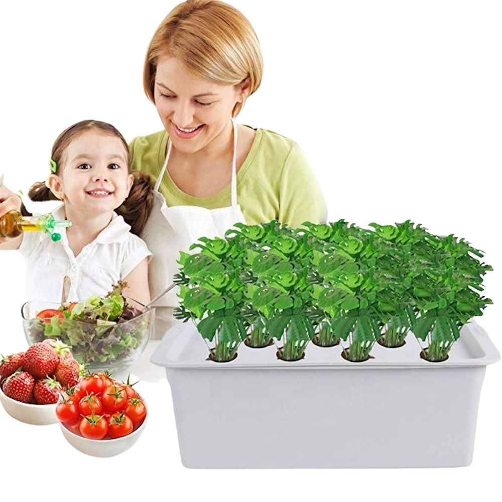 An 11 site deep water culture hydroponic system