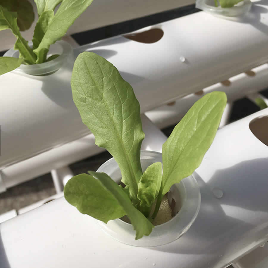36 Cup NFT Hydroponic Kit: image 7