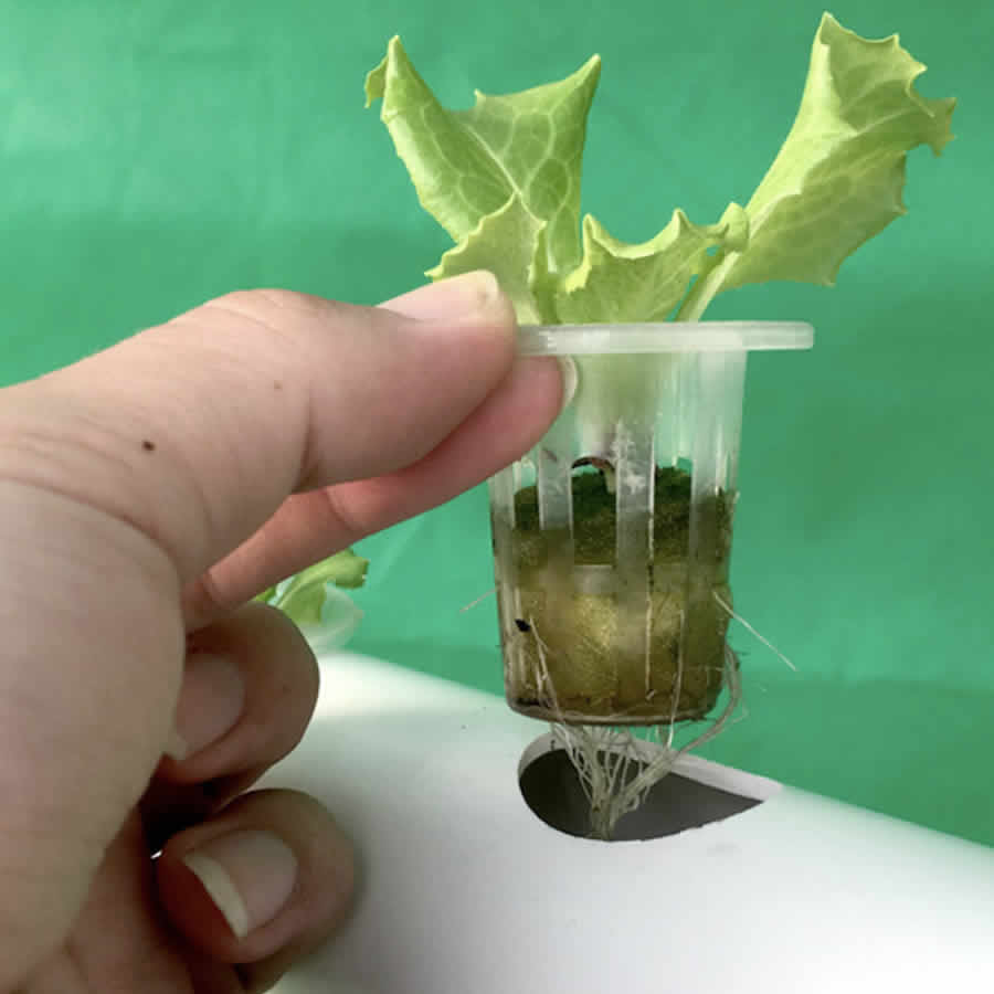 36 Cup NFT Hydroponic Kit: image 12