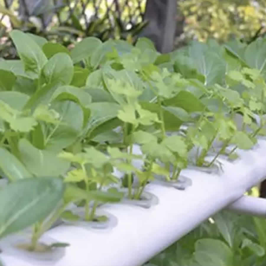 108 Cup NFT Hydroponic System: image 17
