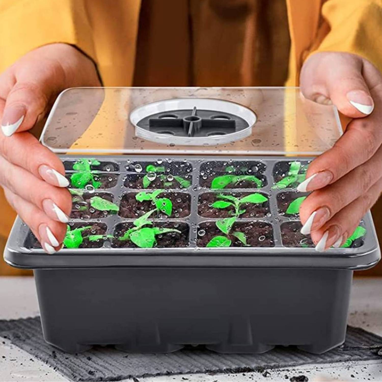 Seed Starter Trays with Humidity Domes, Pack of 5: image 3