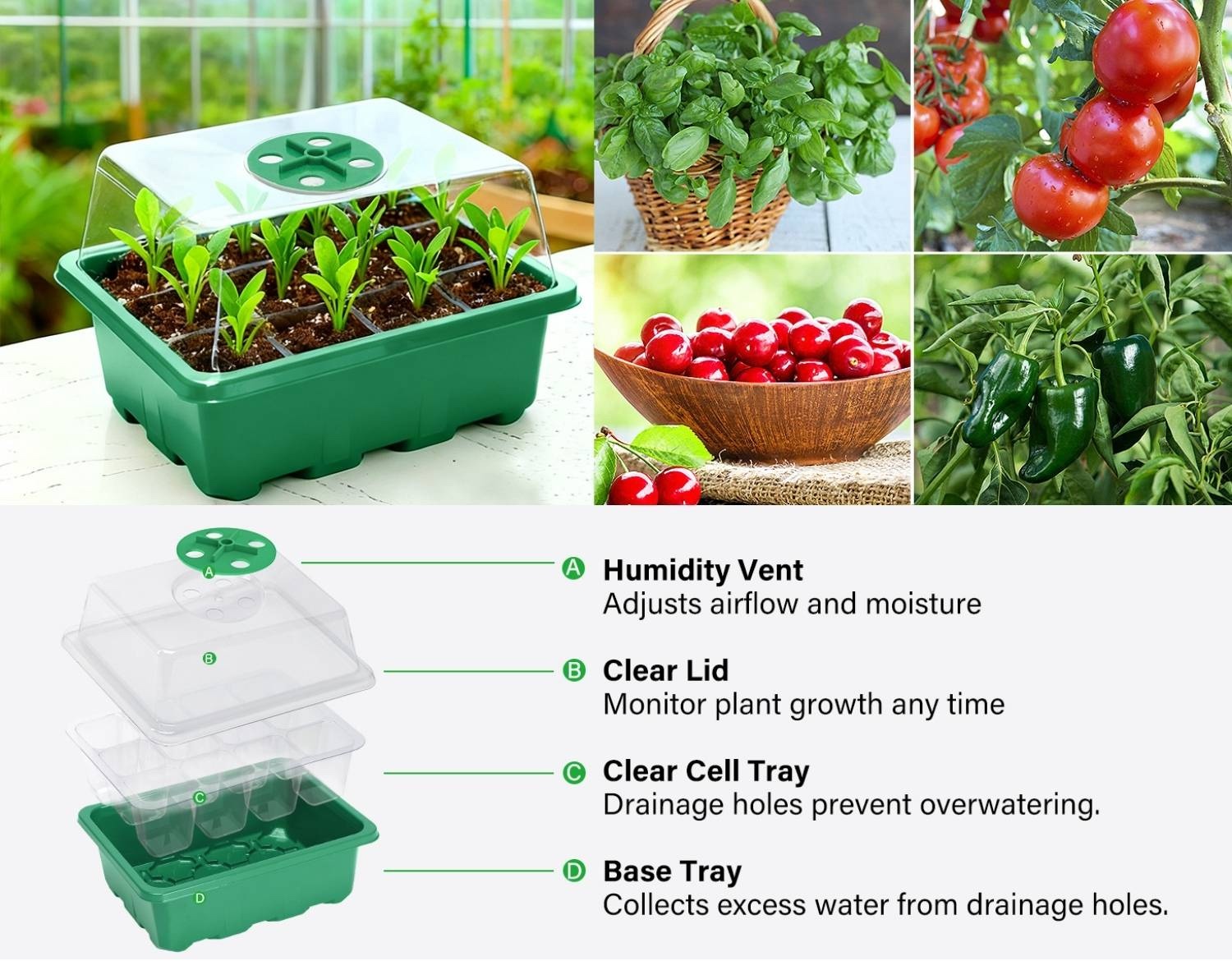 Seed Starter Trays with Humidity Domes, Pack of 5: image 4