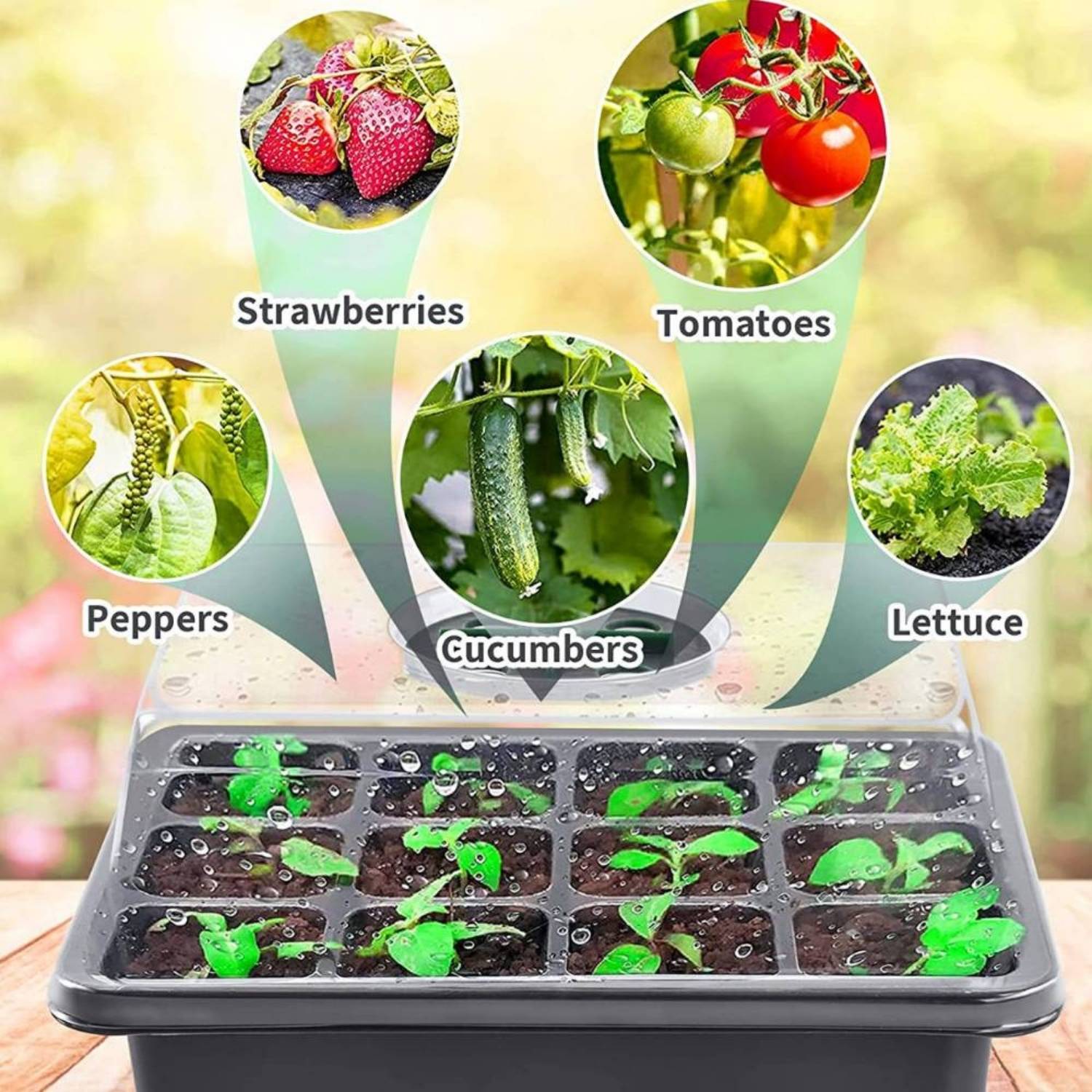 Seed Starter Trays with Humidity Domes, Pack of 5: image 8
