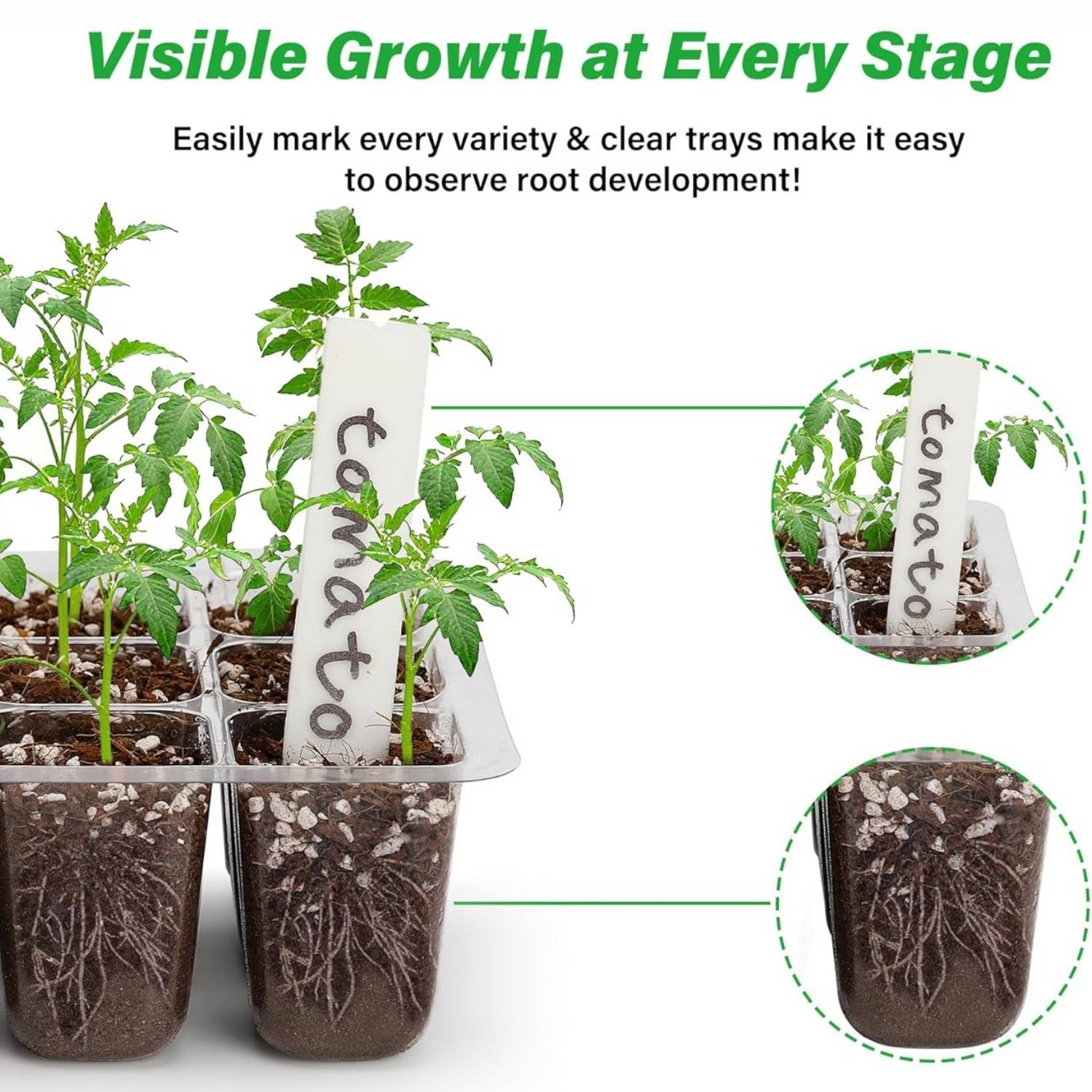Seed Starter Trays with Humidity Domes, Pack of 5: image 11