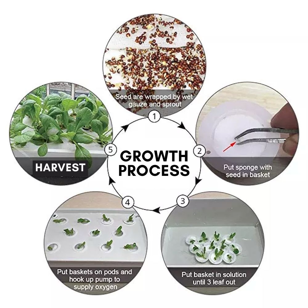 Hydroponic Planter, 11 Cup Home System: image 3