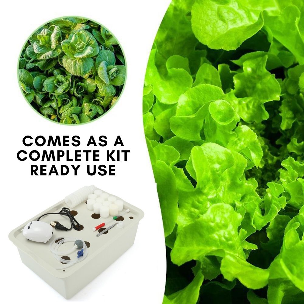 Hydroponic Planter, 11 Cup Home System: image 12