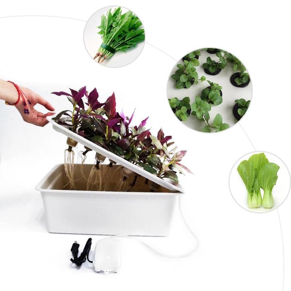 Hydroponic Planter, 11 Cup Home System